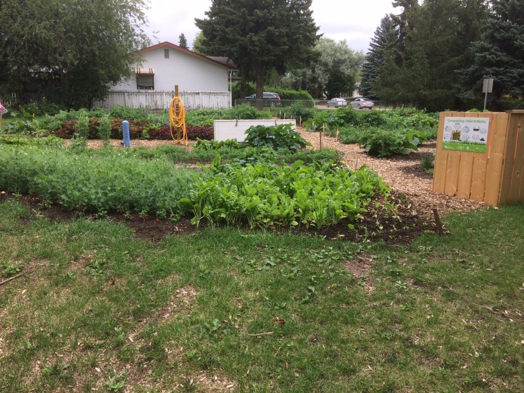 AFTERGardenJuly14