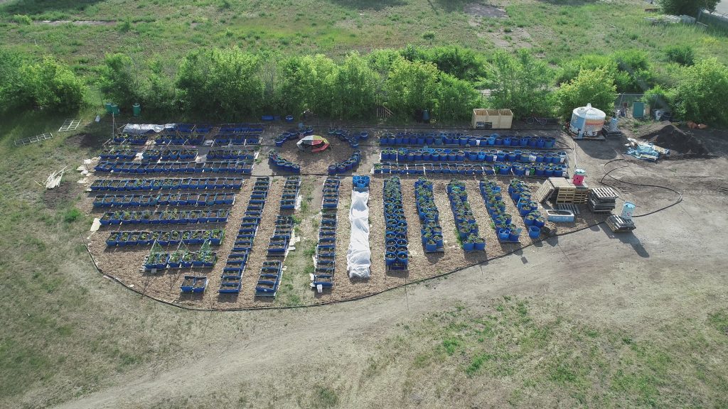 DJI_0300