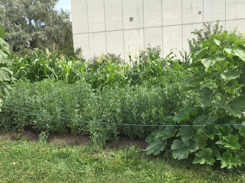 Gardens 1