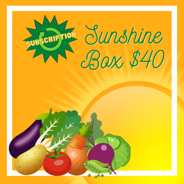 Sunshine Box Subscription